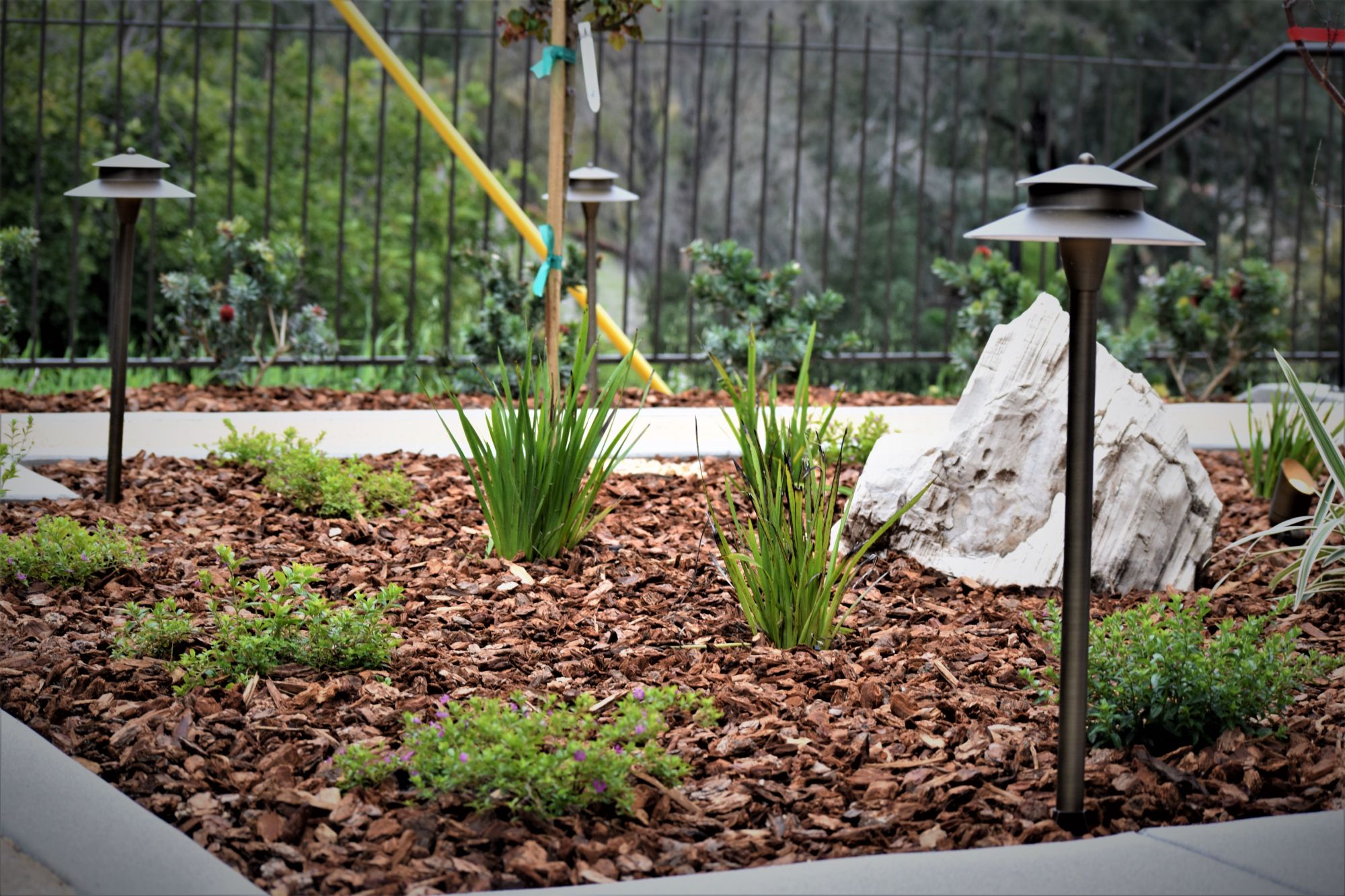 Bear Paw Landscape Landscaping